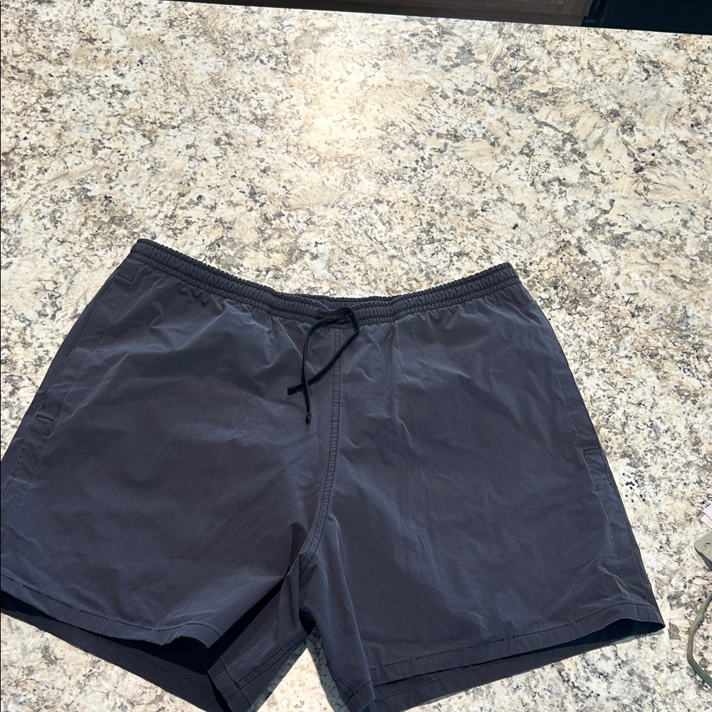 Men's Chubbies Navy Swim Shorts